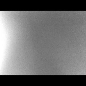 Meet your Posher, Jamaal